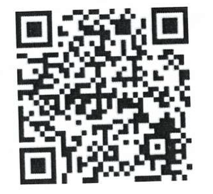 PayPal QR